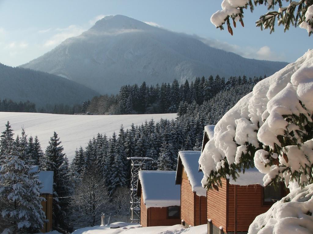 Holiday Park Orava Apartments Dolny Kubin Eksteriør billede